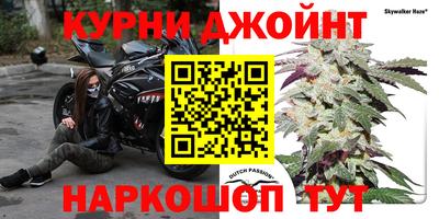 СК Краснознаменск