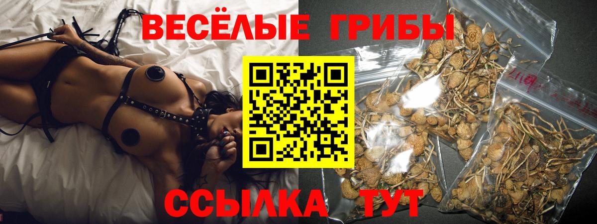 Псилоцибиновые грибы Psilocybine cubensis  Вход с VPN  Арзамас 